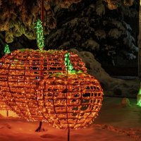 Подсветка :: Игорь Сикорский Подсветка :: Игорь Сикорский