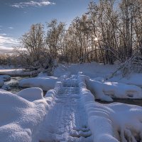 ... :: Жора Житников