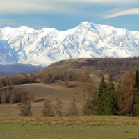 Северо-Чуйский хребет вид с Курая :: елена беликова