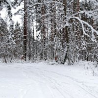 Моя Смоленщина :: Милешкин Владимир Алексеевич 