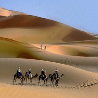 Волна :: Виталий Авакян