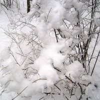 Снежные фигуры :: Елена Семигина