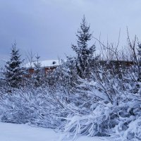 В окрестностях Калининграда :: Рита Симонова