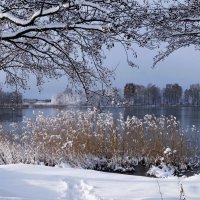 В окрестностях Калининграда :: Рита Симонова