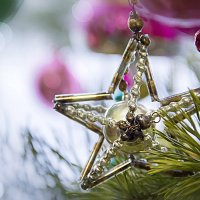 Звезда из детства моего.... :: Bosanat 