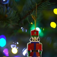 Щелкунчик :: Evgeny Mameev