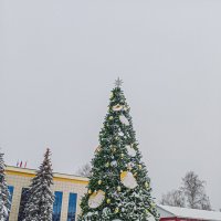 Городская елка :: Юлия Денискина