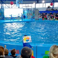 Адлер. Сочи Парк... Шоу дельфинов... :: Нина Бутко