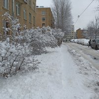 Зимняя, городская зарисовка. :: Лилия *