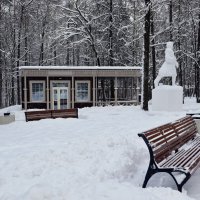 Зима в парке. :: tatiana 