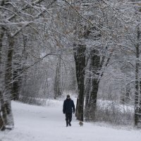 Парк в снегу :: Александр Буторин Парк в снегу :: Александр Буторин