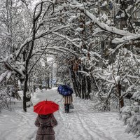 Акценты зимы :: Юрий Лев