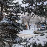 Снежность :: Андрей Хлопонин