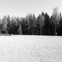 Фотография :: Денис Безногов