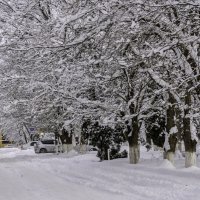 Люблю такие зимы :: Игорь Сикорский