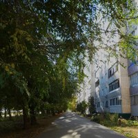 про лето :: Елена Шаламова