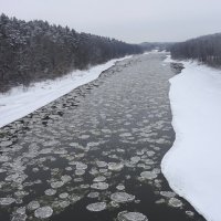 Лед тронулся, господа присяжные заседатели :: rimgis 