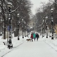 Петровский бульвар зимой :: ИРЭН@ . Петровский бульвар зимой :: ИРЭН@ .
