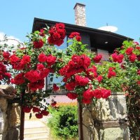 Нарядно :: Натали 