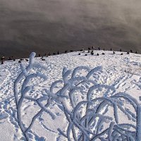 Утки на отмели,,, :: Анатолий Колосов