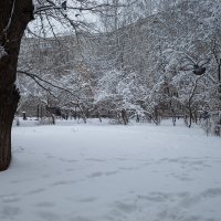 Снежный день :: Александр Синдерёв