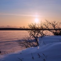 *** :: Oleg4WD *** :: Oleg4WD