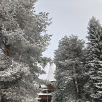 Зимние чудеса в Малых Карелах :: Ольга Чистякова