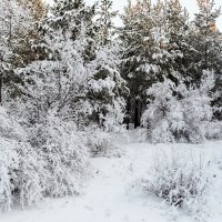 ... :: Андрей Щукин