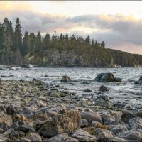 *  *  * :: Андрей Бобин