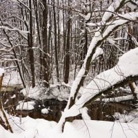 Не замёрзший участок реки :: Андрей Снегерёв