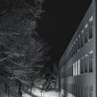 Тихая гармония снежной ночи :: Сергей В