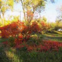прекрасный октябрь :: Елена Шаламова