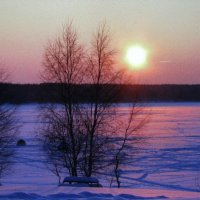 Красивый вечер :: Людмила Смородинская