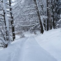 Зима в январе. :: Милешкин Владимир Алексеевич 
