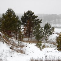 Заметает зима. :: nadyasilyuk Вознюк