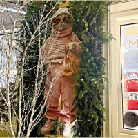 Новогодние витрины города котов и кошек. :: Валерия Комова