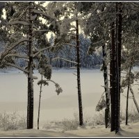 *** :: Aleksandr Gal