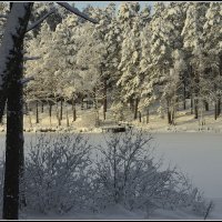 *** :: Aleksandr Gal