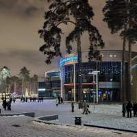 Новогодний вечер :: Oleg S 