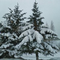 решают проблемы :: Владимир 