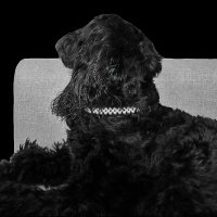 Туча отдыхает :: Светлана 