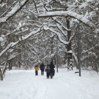 Прогулка в морозный день... :: Freddy 97