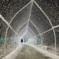 что там дальше? :: Ольга Косачова