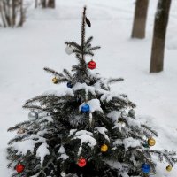 С Новым годом!!! :: Радмир Арсеньев С Новым годом!!! :: Радмир Арсеньев