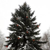 С Новым годом!!! :: Радмир Арсеньев