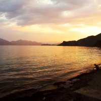 *** :: Яна Горбунова