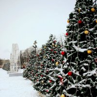 Кронштадт :: Наталья Герасимова