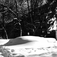 Снег, снег, снег... :: Василий Палий