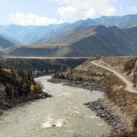 В горах Алтая (Катунские террасы) :: елена беликова