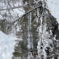 Начало зимы. :: Дмитрий Радионов